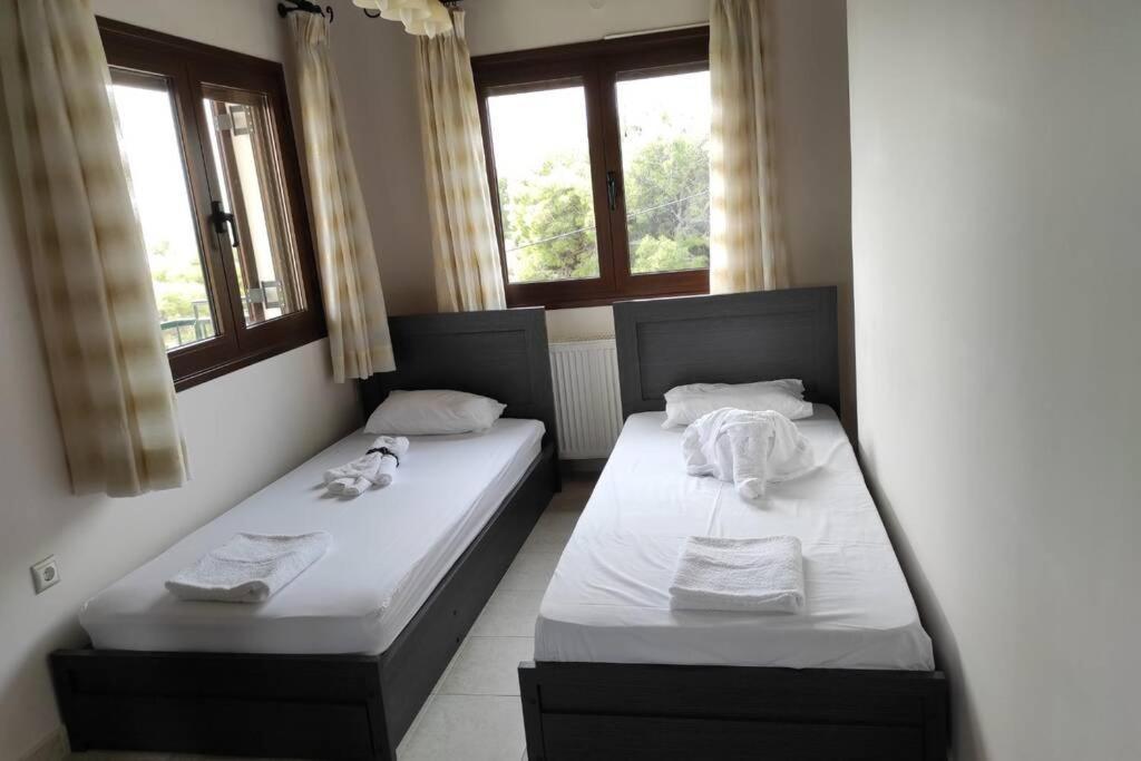 Vila Artemis Penthouse 10 Minute From National Airport Exteriér fotografie